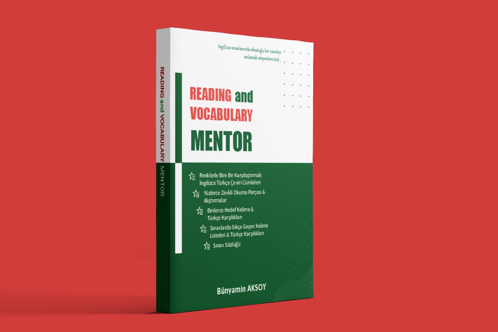 Reading and Vocabulary Mentor